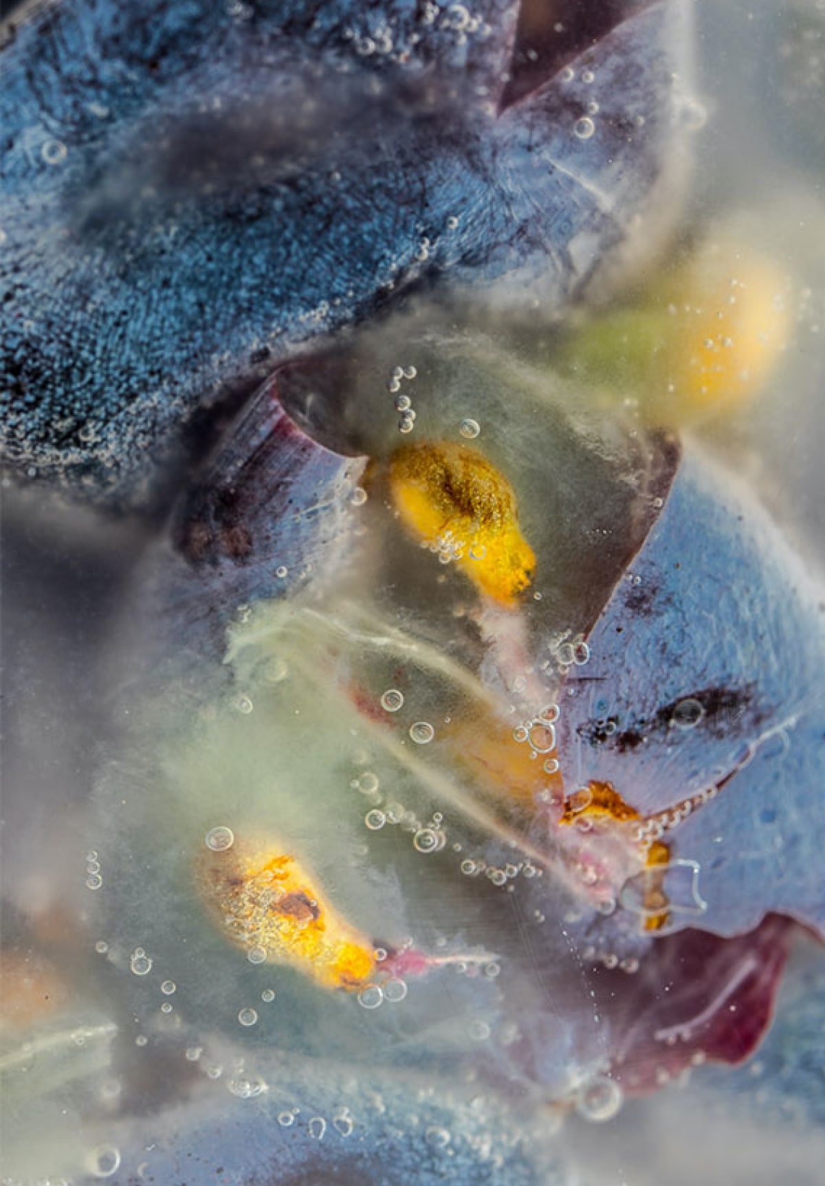 Interior de un tanque de vidrio de fermentación alcohólica
