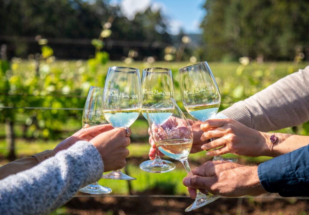 Brindis entre los viñedos de la D.O. Rías Baixas