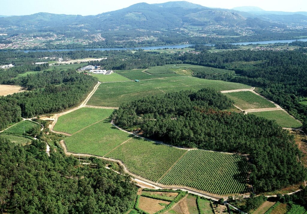 El territorio de la D.O. Rías Baixas es uno de nuestros hechos diferenciales