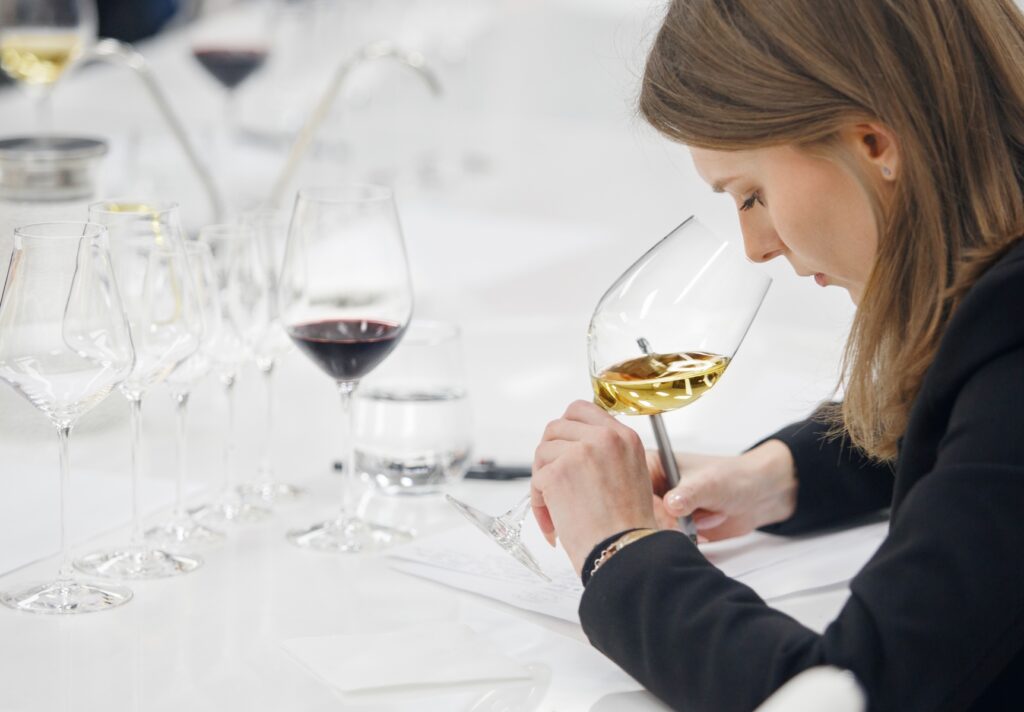 Cata de vinos