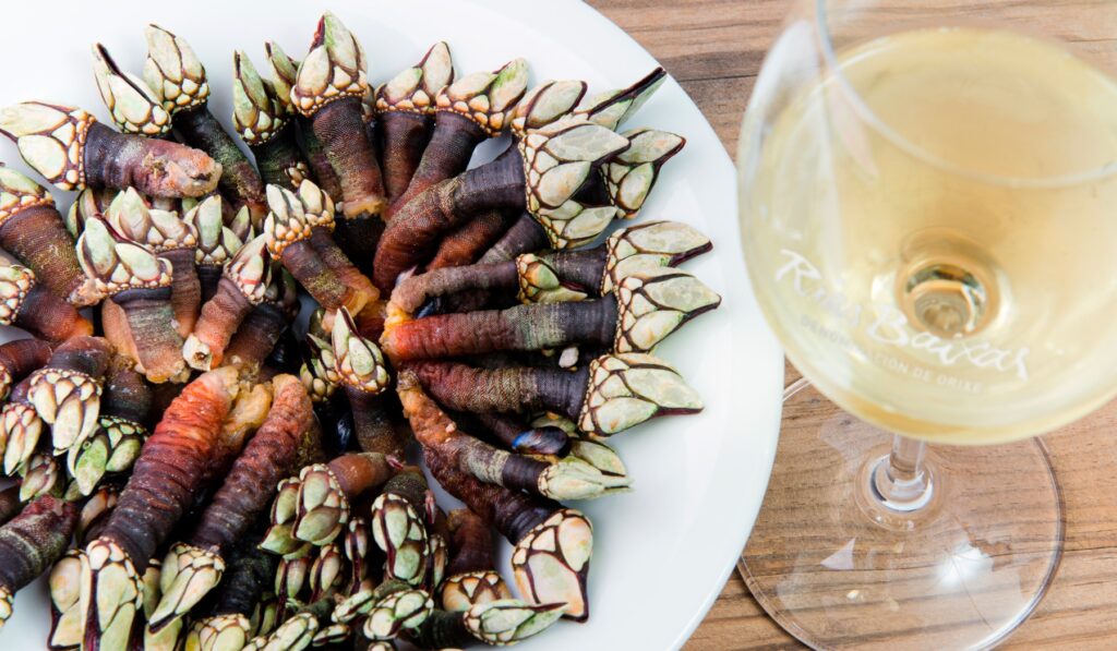 Los percebes son uno de los mariscos gallegos de temporada en verano, ideal para maridar con nuestros vinos D.O. Rías Baixas