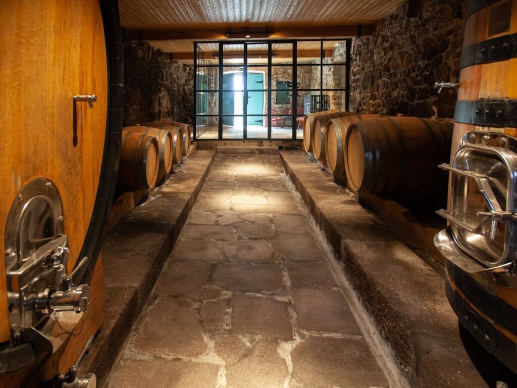 Barricas en una bodega de la D.O. Rías Baixas
