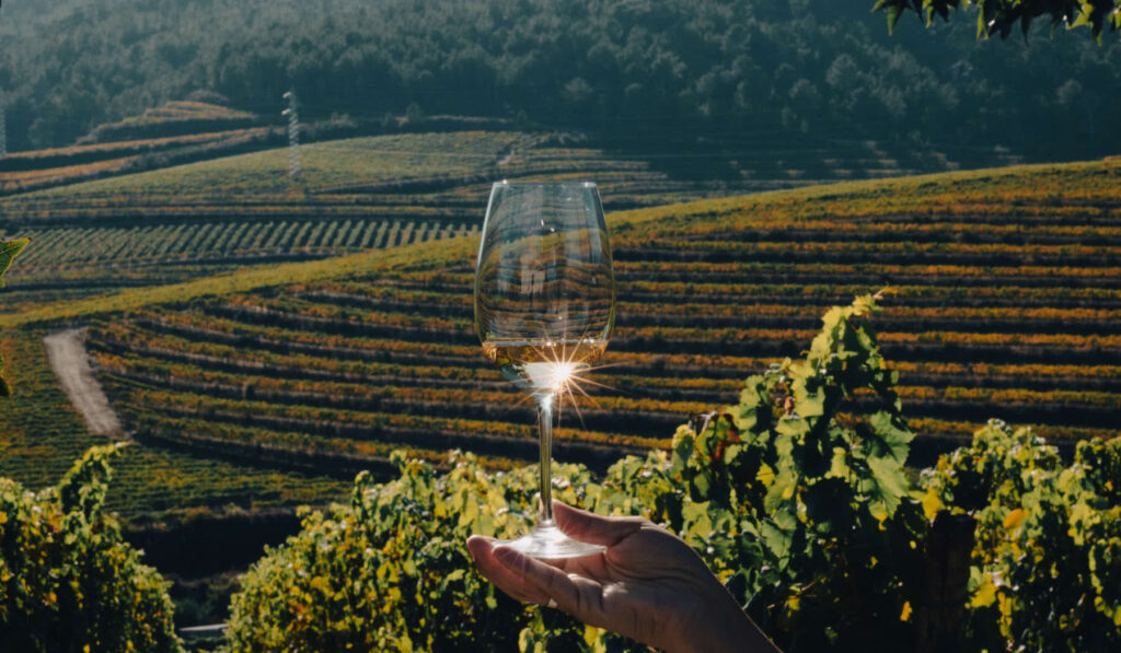 Regalos de San Valentín para winelovers