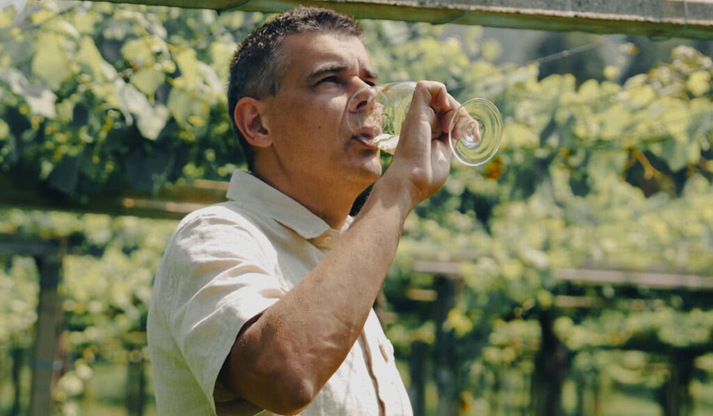 Identifica las sensaciones que deja un Albariño D.O. Rías Baixas cuando lo bebes y qué causa en tu cuerpo